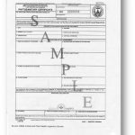 Phytosanitary-Certificate